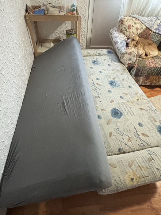 Canapea extensibila 140/200