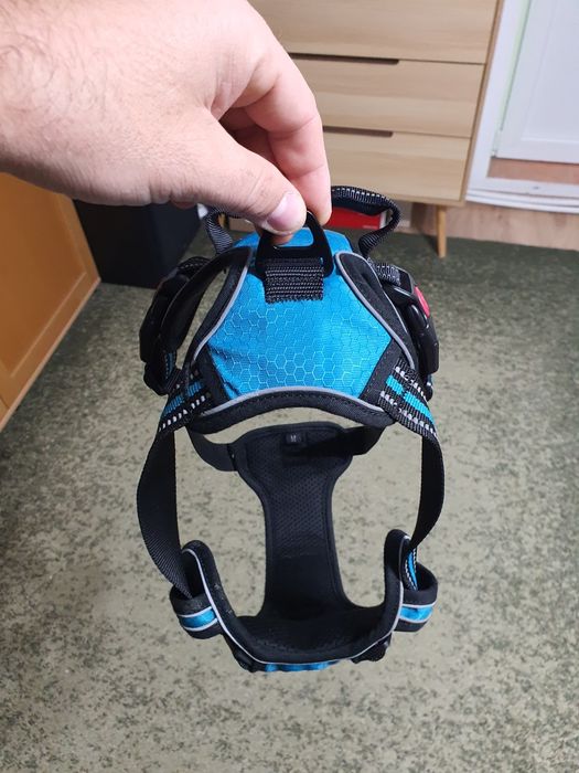 ham caine de talie mare