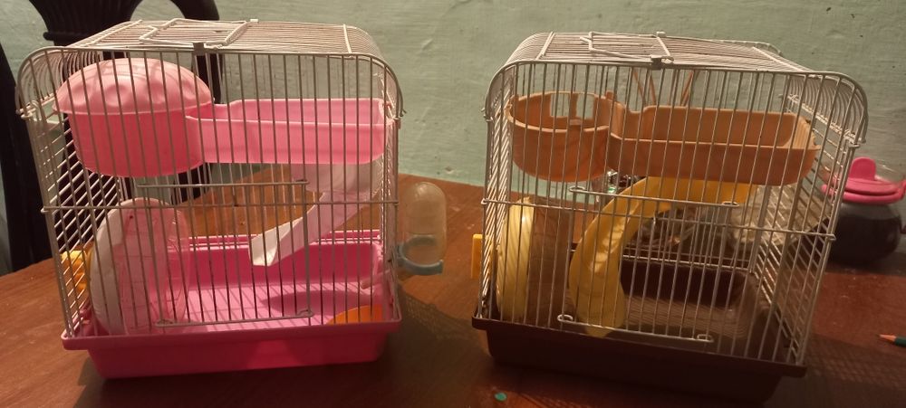 Клетки для хомячков.