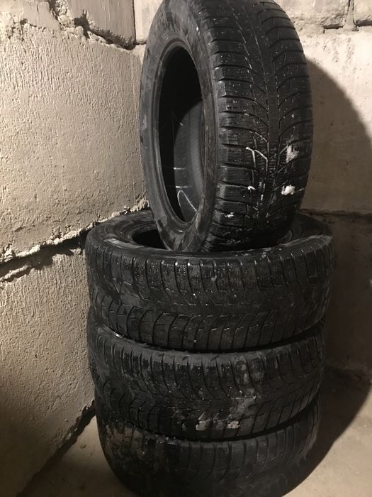 Шины зимние. Triangle