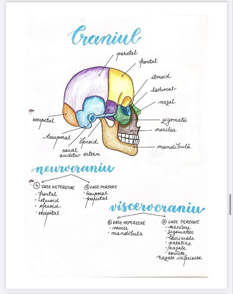 Notițe admitere medicină - biologie