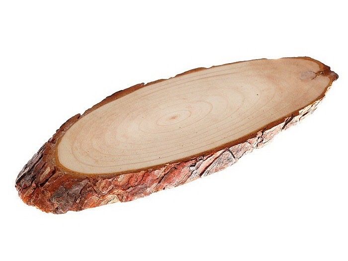 Спилы дерева (срезы)