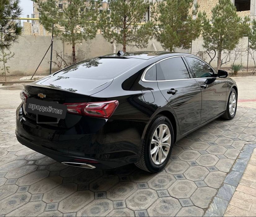 Malibu 2 Primer 2022