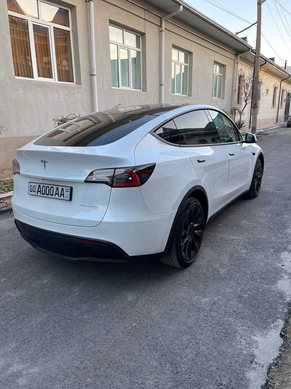 Tesla Model Y Long Range Dual motor(USA)