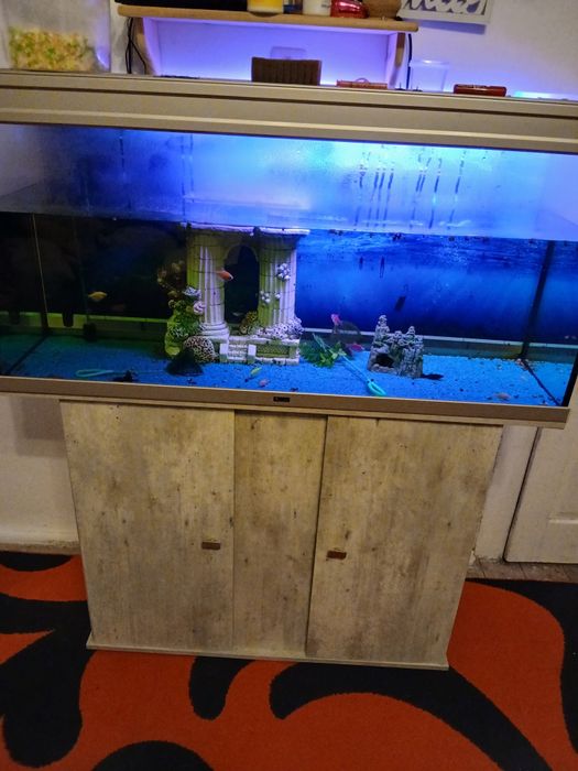 Vând acvarium cu totul