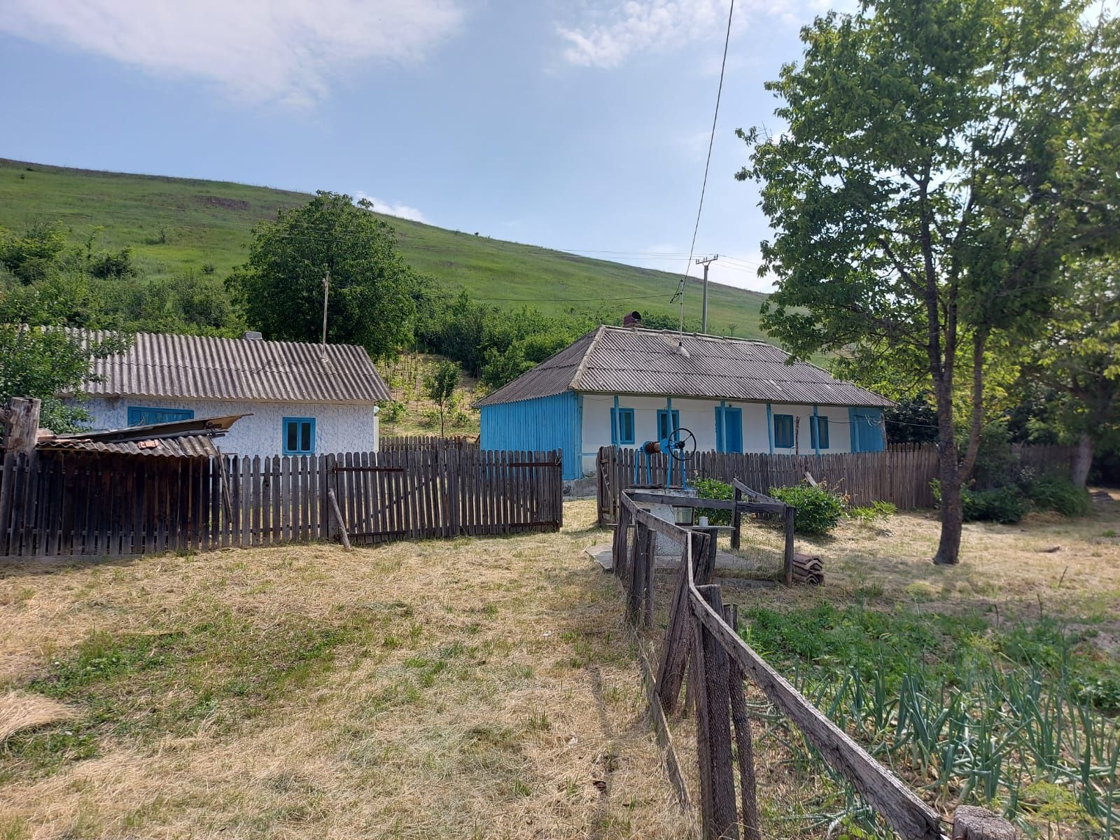 Teren intravilan+Casă bătrânească, Sat. Băiceni, Com. Curtești