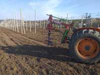 Înființări plantații la cheie, defrișări plantații, reconversie. ZMD