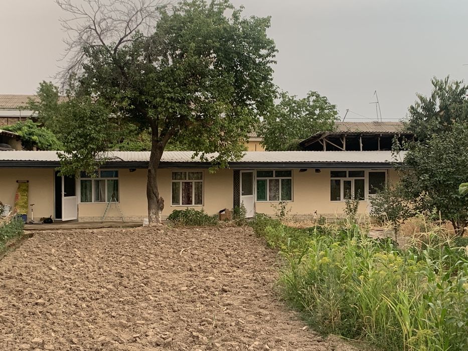 Qoyliq Massiv 5 da Ijara