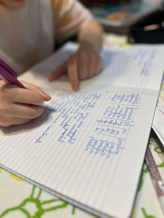 Meditații și ajutor la teme pentru Limba și literatura română