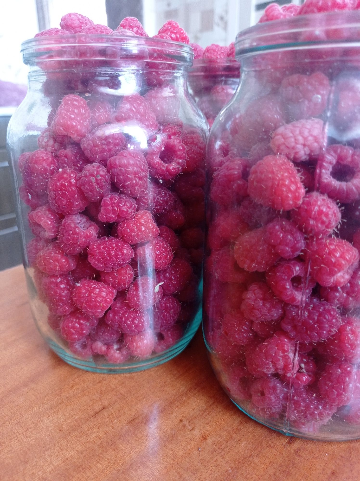 Продам свежую домашнюю малину