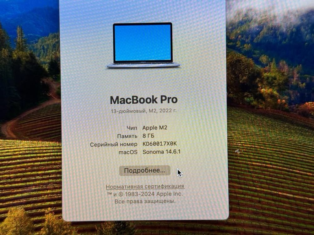 Apple MacBook pro 13 M2 Apple M2|8Gb|SSD256Gb|цикл 233 (90%)