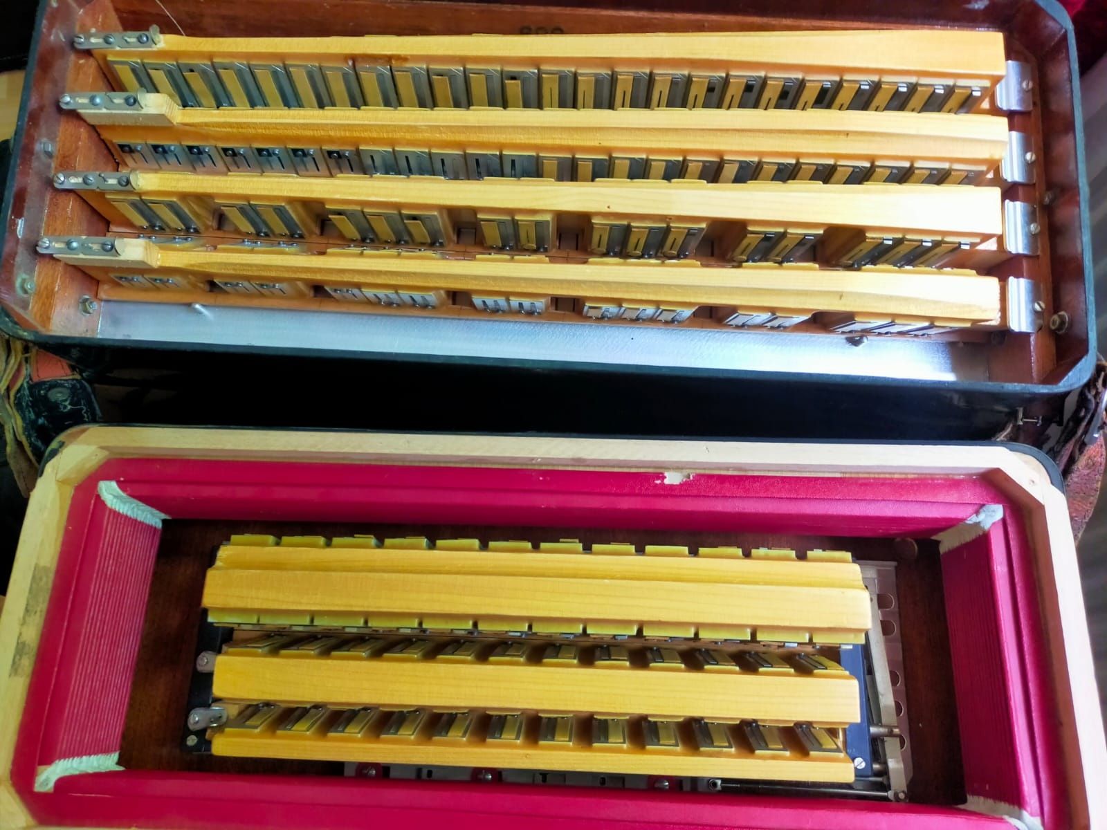 Acordeon Bugari Armando