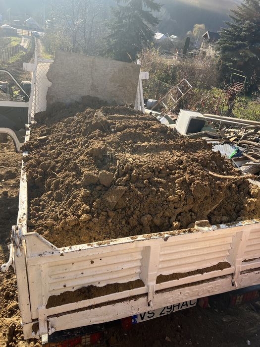 Prestez servici cu excavator 2 t