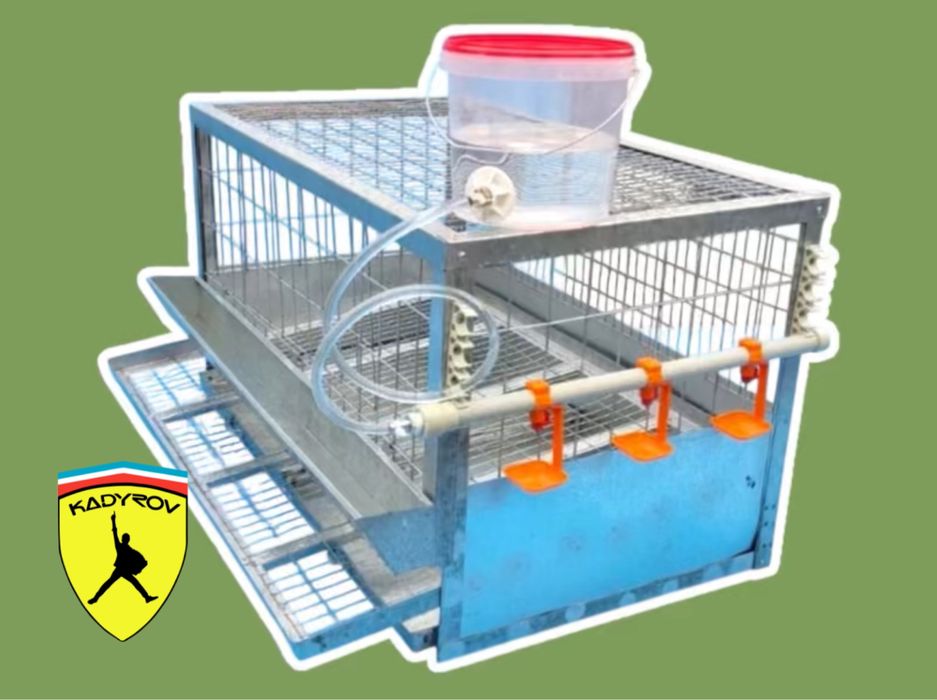 Прочные клетки для безопасного содержания птицы