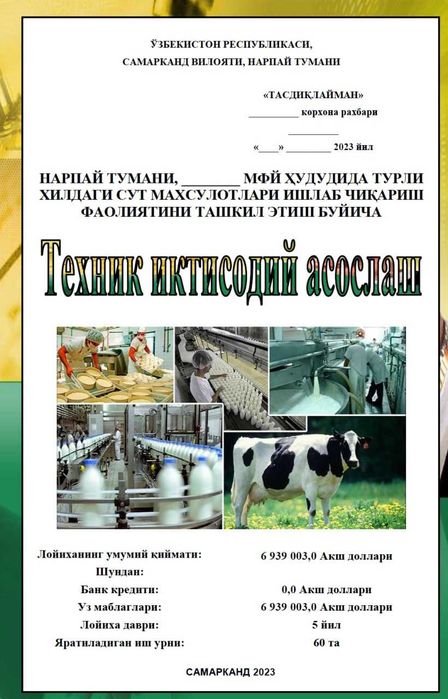 ТЭО,Бизнес режа ва лойихалар