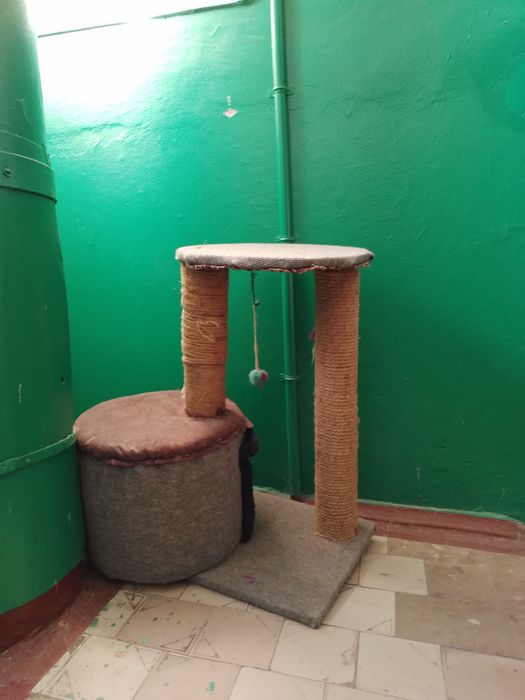 Домик царапка для кошек