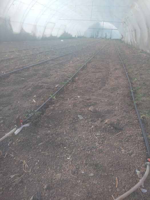 Solar profesional de vanzare, 40m x 10m