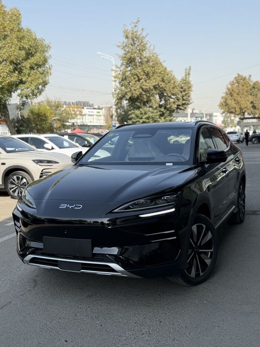Byd champion smart