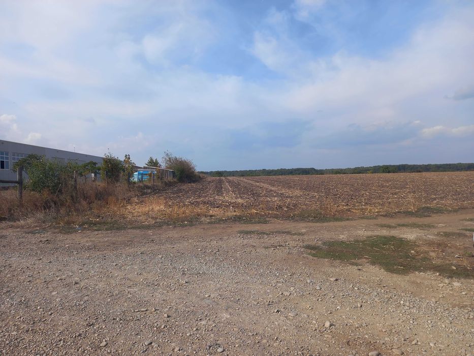 Teren extravilan Dascalu, 10.000 mp