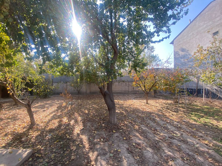 Yer ijaraga beriladi