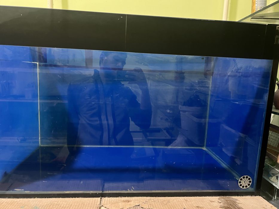 Baliqla uchun katta akvarium