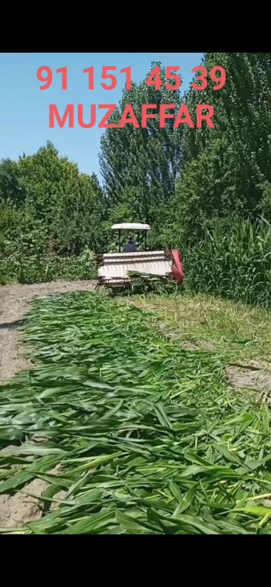 Жатка sotiladi makka va supirgilarni allo darajada o'radi