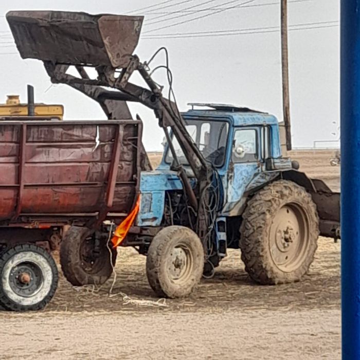 Продам Кун в хорошем состоянии