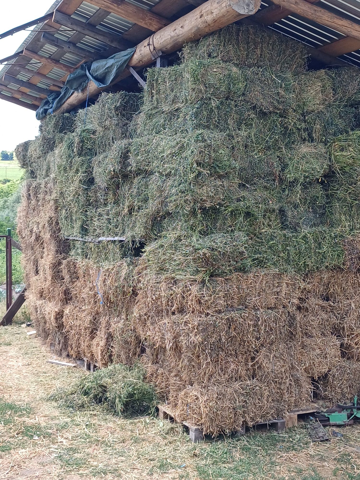 Vind baloti de lucerna