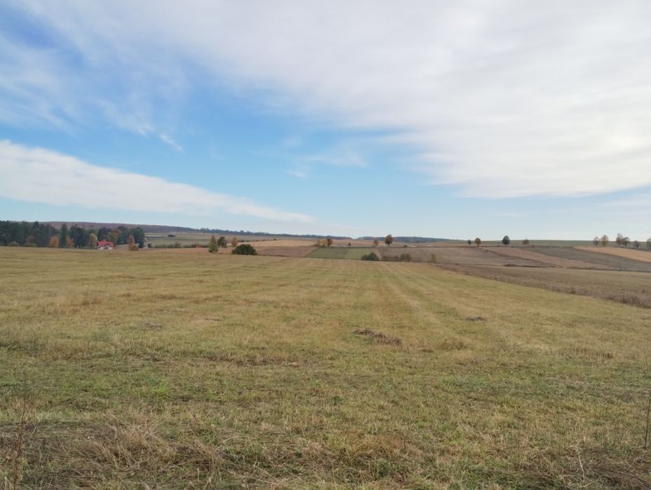 Vând 30 ari teren intravilan/extravilan