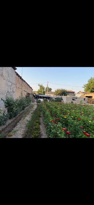 Quruq Yer Sotiladi