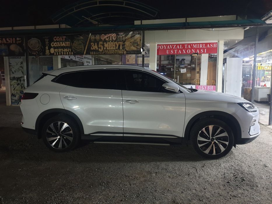 BVD chempion flekship