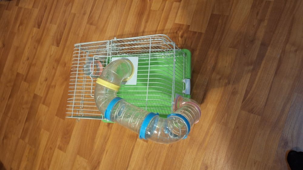 Cusca hamsteri folosita puțin