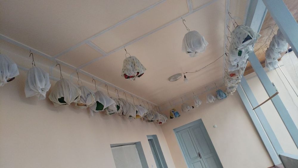 bedana sotiladi sayroqi