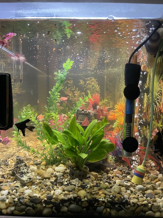 Acvariu cu capacitatea de 350L