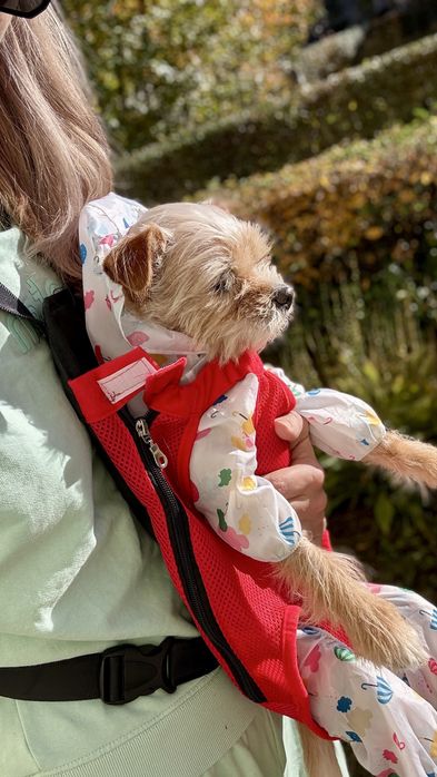 Marsupiu / ham adorabil pentru catei talie mica- confort, siguranta
