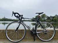 Specialized Tarmac full carbon Marime L