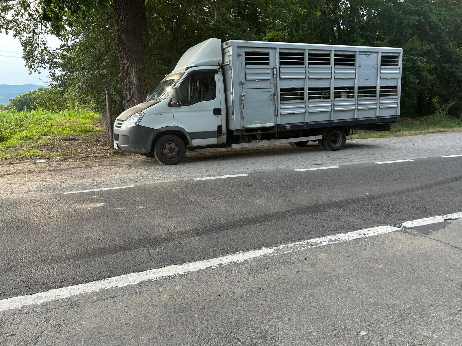 Transport animale vii autorizat capre oii vaci struți orice