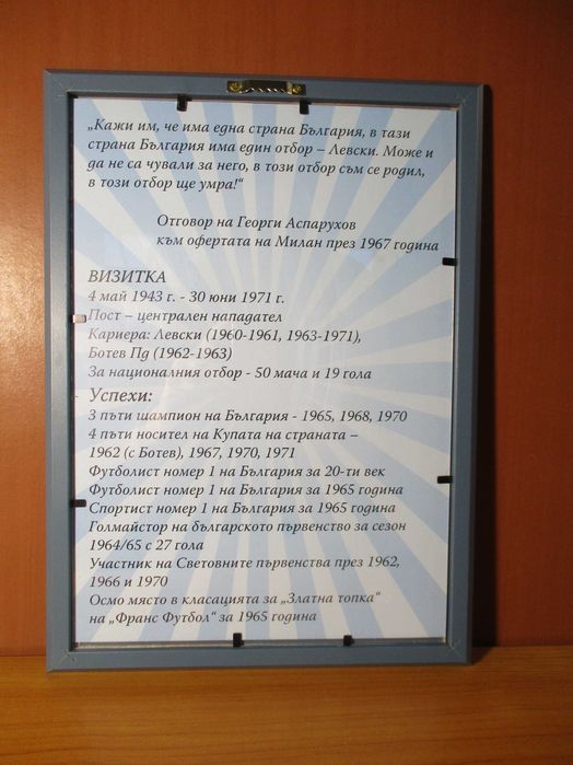 Картина Портрет на Георги Аспарухов-Гунди-Левски