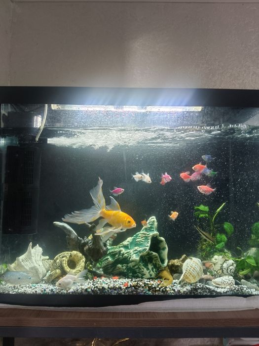 Аквариум Tetra 80 л