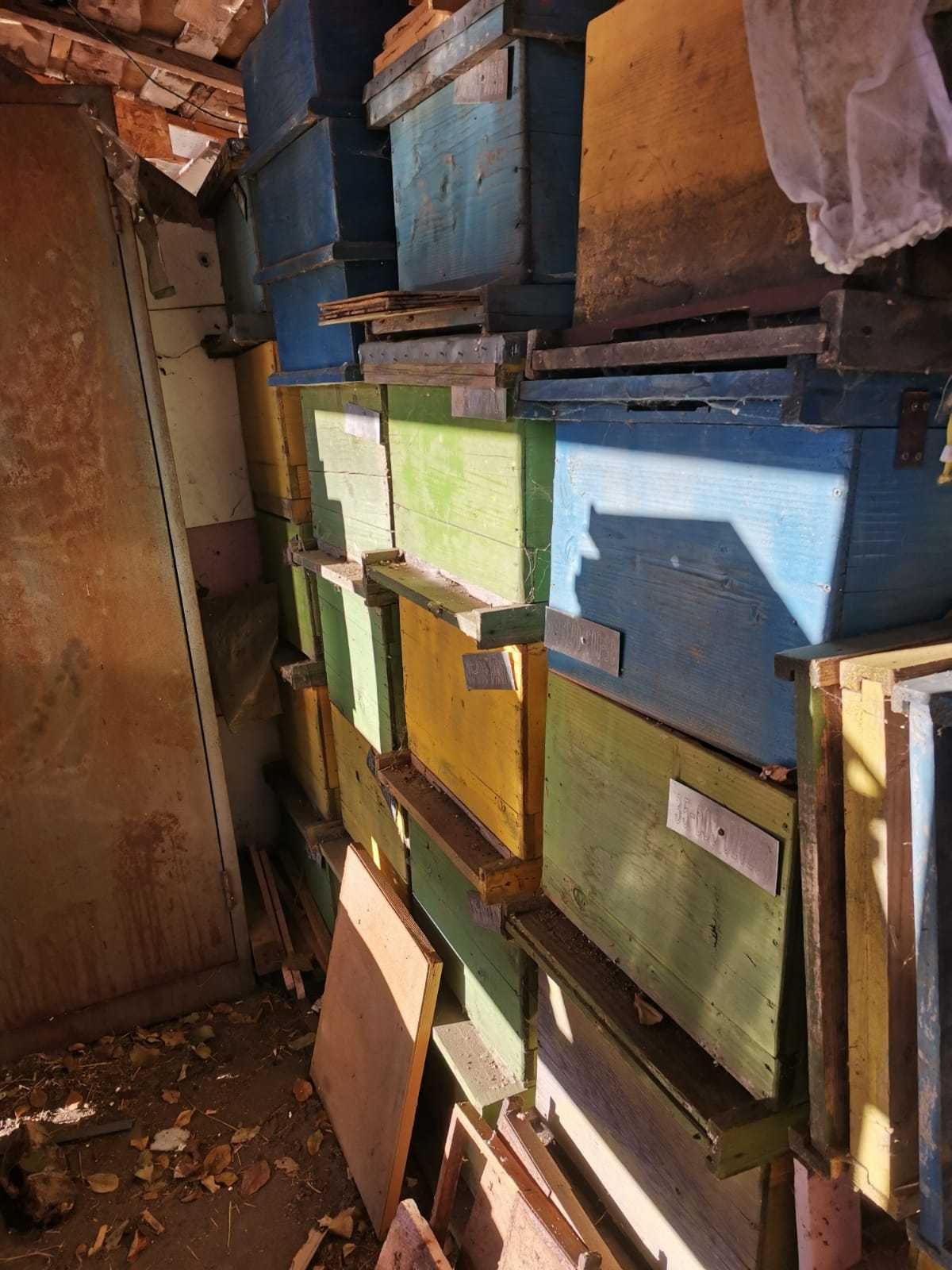 Vand 150-180 de Stupi pentru albine pe 10 rame!