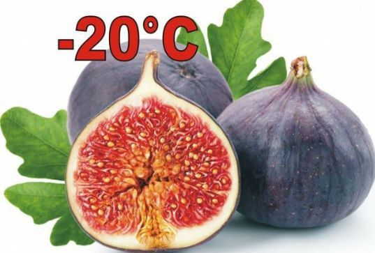 Smochin (Soiuri Diferite )