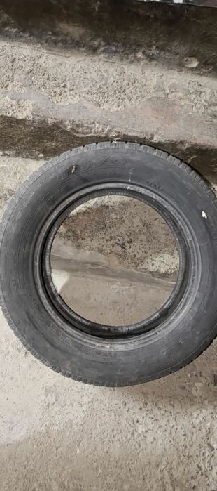 Зимняя резина одна