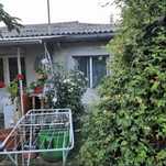 Bosia : Teren 3600m2 si casa 80m2