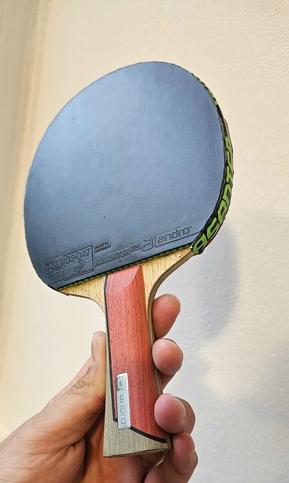 Palete și fețe tenis de masă/ping pong butterfly/andro/xiom/tibhar/don