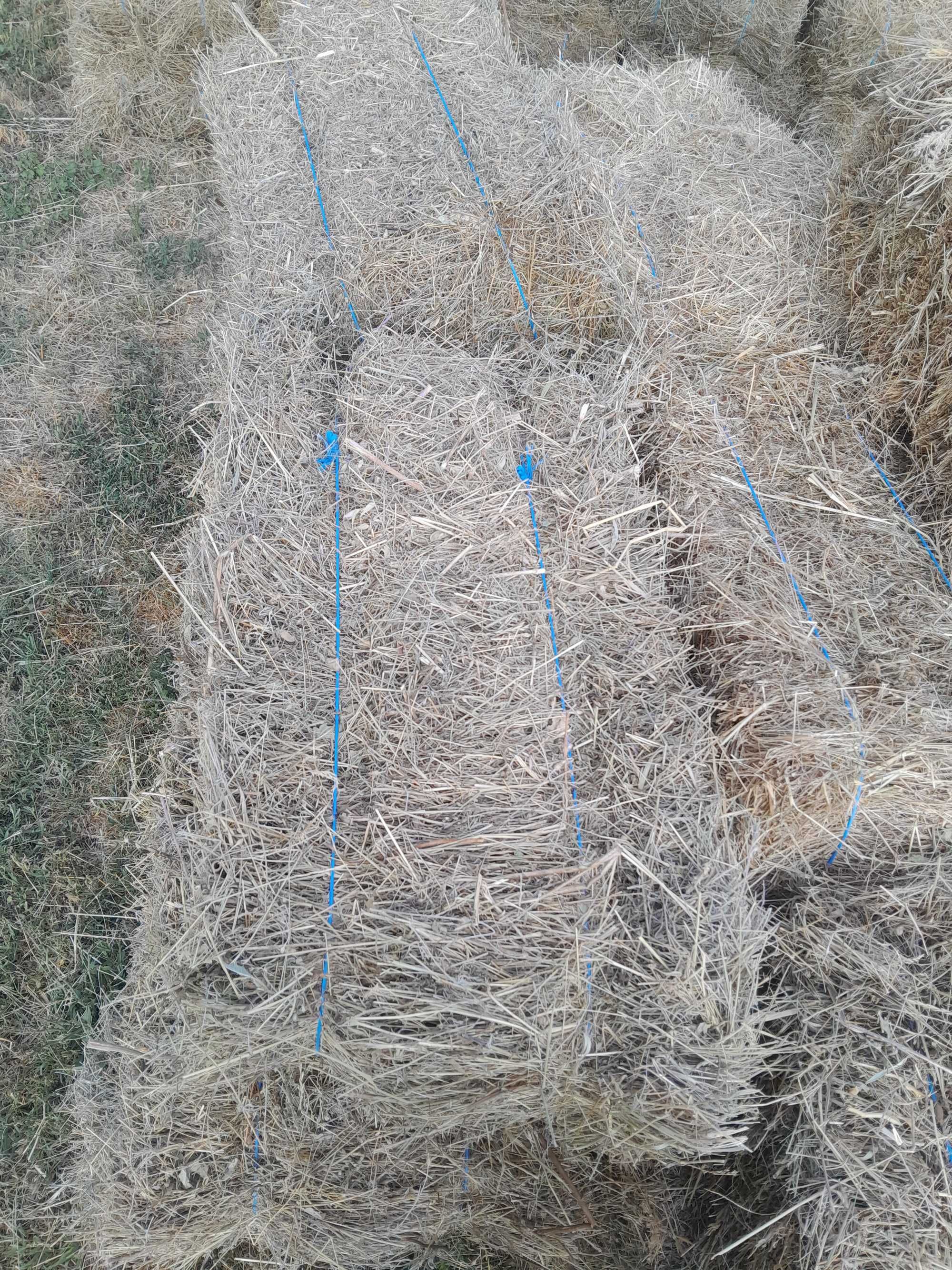 Продавам бали овес и ливадско сено