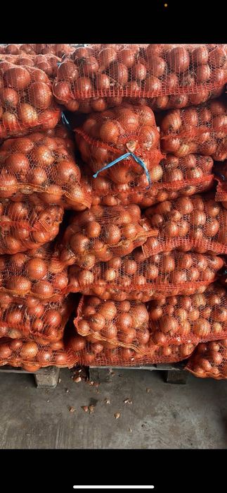 Ceapă albă de vânzare!!!