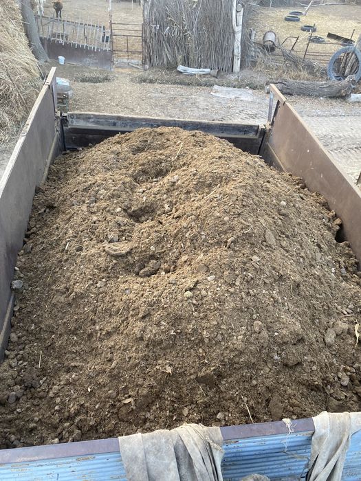 НАВОЗ.КӨҢ бар шіріген таза