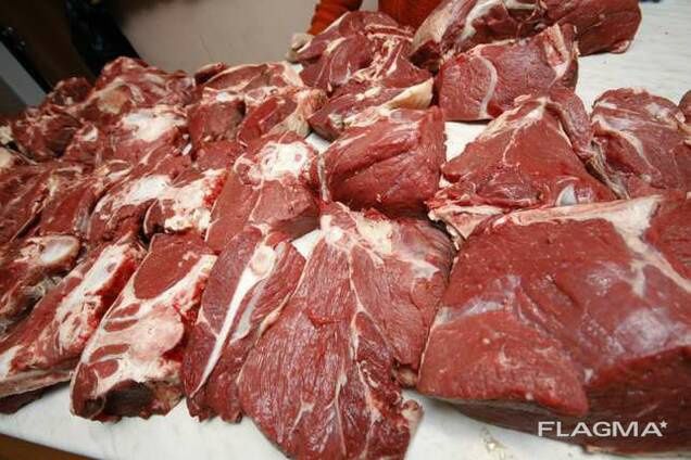 Продам конина(соғым)