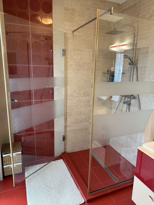 Paravan sticla dus L