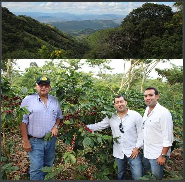 NICARAGUA Jinotega Finca San Ramon 2022, Cafea Verde